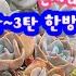 명원다육 1 2 3 한방에 몰아보기 3천짤무조건 2천 묵둥이 20 할인 보물들이 엄청 많습니다