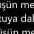 Düşün Meni