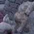 Skyrim Se Dark Souls 2 Stuff