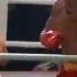 Ivan Drago Tribute