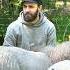 We Finally Got Farm Animals