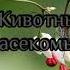 Trend Кто я по мнению лп