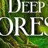 Deep Forest 4K Nature Relaxation Film With Peaceful Music Video Ultra HD