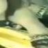 Pakistani Actress Without Scandal Latest MMS Leaked Video