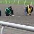 Wiener Dog Races Final