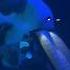 Silent Whale Becomes A Dream Live 2019 Post Rock Full Set Live Performance Concert