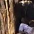 Martin Sibanda And Ndolwane Super Sounds Baya Funda Yini Uku Funda Aku Pheli