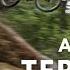 Building And Testing A TERRIFYING New Gap
