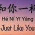 和你一样 Just Like You 李宇春 Chris Li Chinese Pinyin English Translation 歌词英文翻译