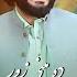 Da Meene Zor Mata Maloom Dey Tapaeezy Zubair Nawaz Official Music Video Song زبير نواز ټپيزي