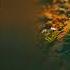 New Ringtone Mp3 Ringtone Hindi Ringtone Best Ringtone Ringtone Song Sad Ringtone