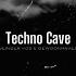 Vlinder Vos Techno Cave