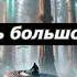 Аудиокниги Очень большой лес тайны джунглей и исчезновения Аудиокнига