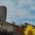 УКРАИНСКАЯ СТОЙКОСТЬ ПРОТИВ ВОЕННОЙ МАШИНЫ РФ
