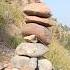 Female Chakor Voice Femaleteetarvoice Partridgevoice