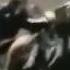 Corb Lund Horse Soldier Horse Soldier Video