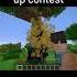 Minecraft Meme