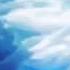 Robert Miles Children Zenophex Remix