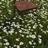 A Thousand Years Beautiful English Song Rabee Christinaperri Lyrics Lovesong Twillight