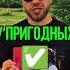 ЖЕНЩИНЫ И ОТВЕТСТВЕННОСТЬ
