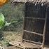 Lina And Her Homeless Mother Stay Temporarily In The Kind Woman S Shack Lý Tiểu Lina