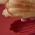 Бисквитное Печенье Мадлен РЕЦЕПТ от Lass Cake Madeleine Cookies Recipe