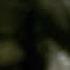 Katherine Makes Elena Doubt Herself The Vampire Diaries