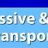 Active Passive And Bulk Cell Transport