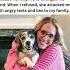 I Refused To Give Back The Dog Who Saved Me