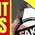 Meghan STAGED IT Flight Attendant Reveals The Truth