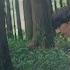 SUPER JUNIOR D E SUNRISE MV