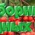Сборник народных песен 01 03 21
