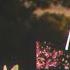 Mitski Popular Playlist Part 1 By Lyyvy