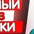 Почему у кота воняет изо рта Неприятный запах гнили ацетона мочи из пасти кошки