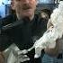 How Astronauts Get Oxygen In Iss Shorts