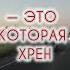 Анекдоты в дорогу Приколы Юмор Шутки анекдоты приколы юмор шутки