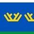 Flag Of The Tyumen Region Russia