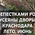 Улочки города на закате Лето июнь цветут розы лето закат розы Roses Sunset закатырассветы