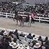 2025 Mid Ohio Memorial Trotting Sale