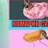 Мышка сосиска собачка жвачка Кто ты такой