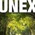 SCORPIO THE UNEXPECTED AN UNEXPECTED CHANGE FOR THE BETTER First Half Of June 2025 Tarot