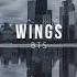 BTS 방탄소년단 Interlude Wings Piano Cover