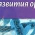 Биология 9 класс Пасечник 37 История развития органического мира