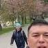 Цветение сакуры Городской парт г Южно Сахалинск