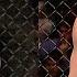Nate Diaz Vs Donald Cerrone FULL FIGHT