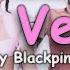 Stray Kids Pink Venom Blackpink Ai Cover