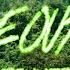 Jungle Out There