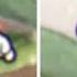 Cuphead DLC Cuphead And Mugman Reaction To Dropping The Astral Cookie