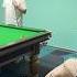 701 Funny Billiards Video Million Views