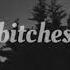 Bitches Mindless Self Indulgence Slowed